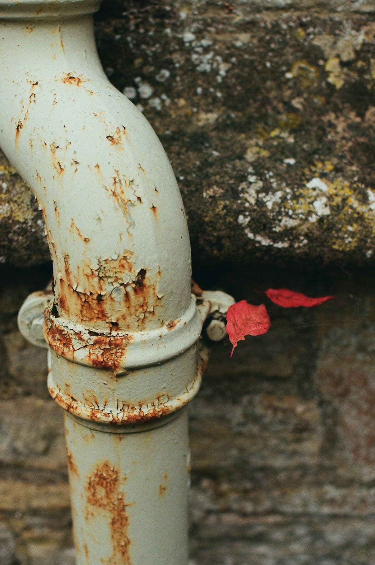 Rusty downpipe fixed to a stone wall