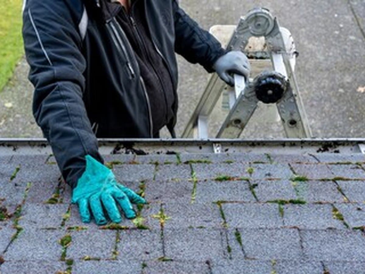 Roof cleaning project by BMS Vanguard Roofing – photo 3